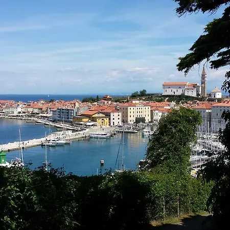 Piranika Pensionat 3*