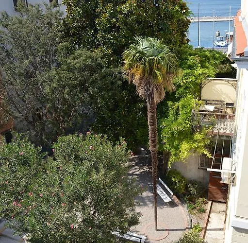 Piranika 招待所 皮兰